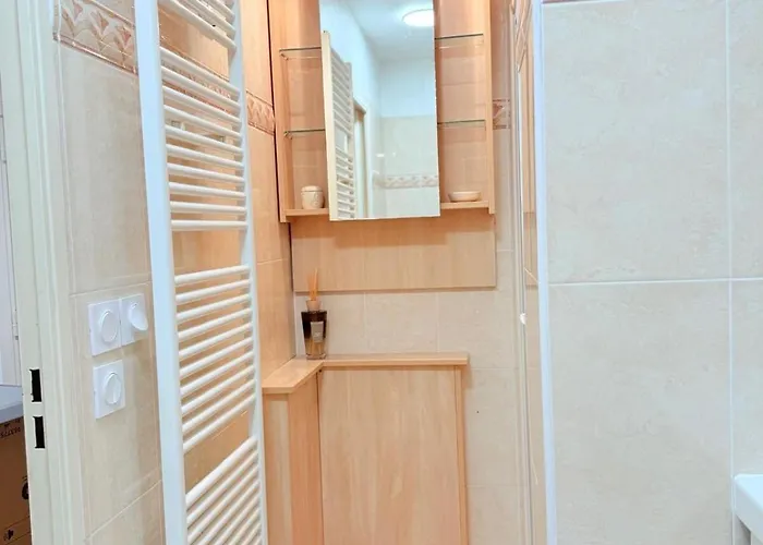 Les 3 Iles 2 Pieces Climatise A 50 M Des Plages Διαμέρισμα