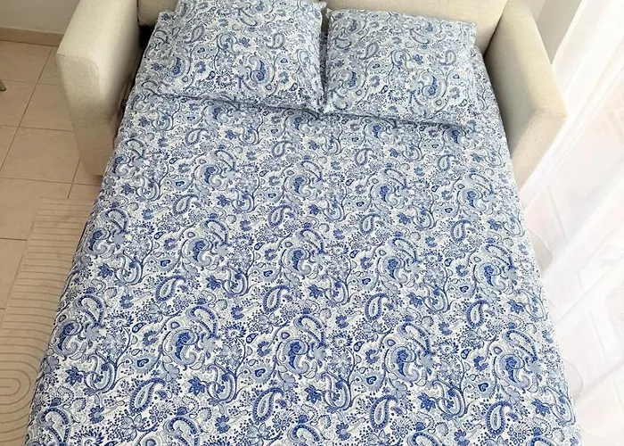 Les 3 Iles 2 Pieces Climatise A 50 M Des Plages